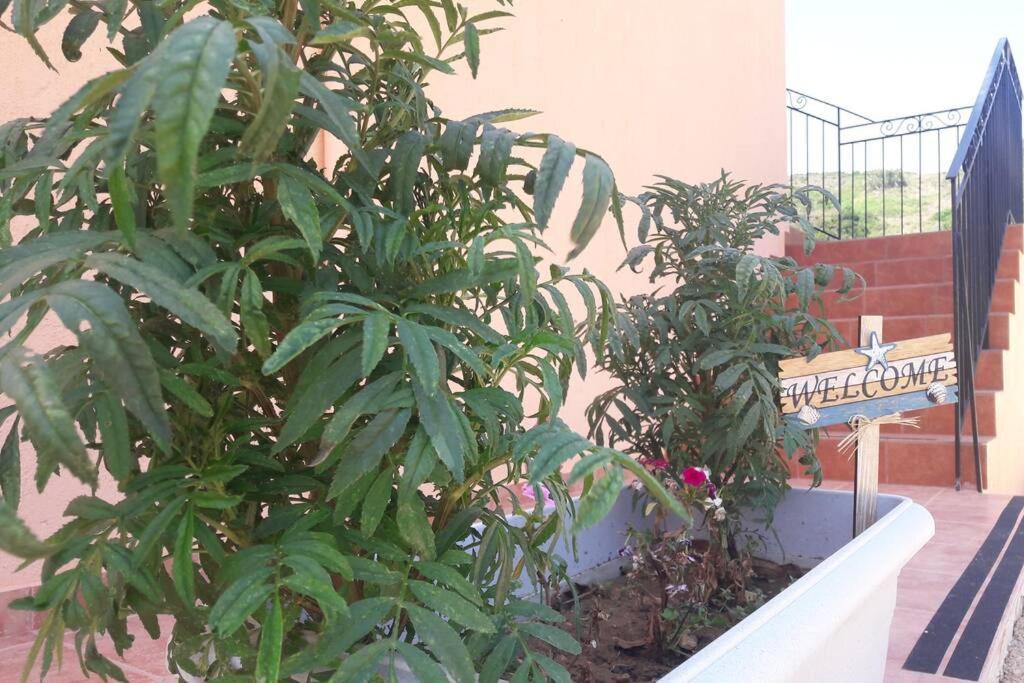 Rodanthy III Kateleios Dış mekan fotoğraf